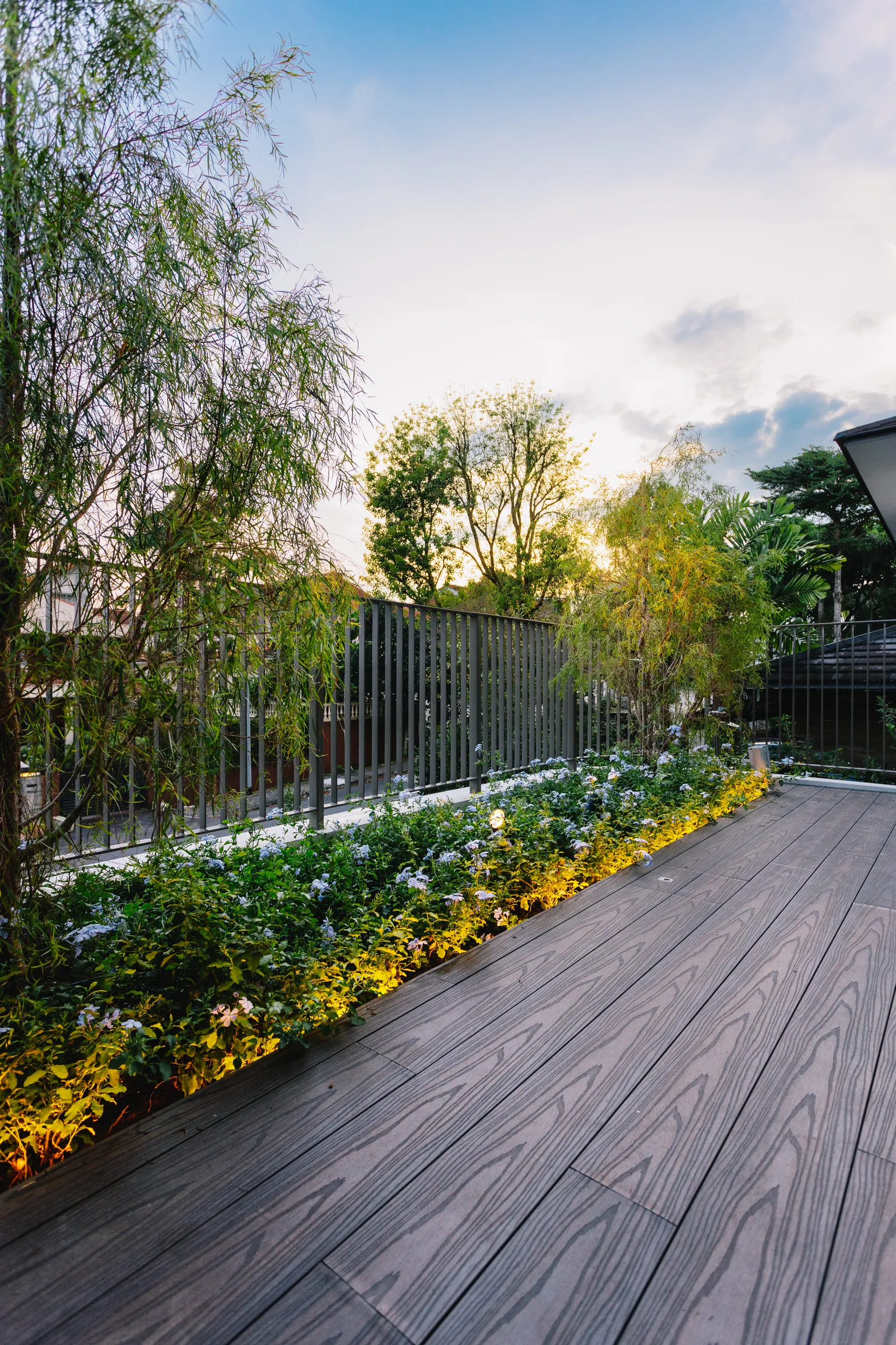 House of the Collector: timber deck edged with flowering planting at dusk