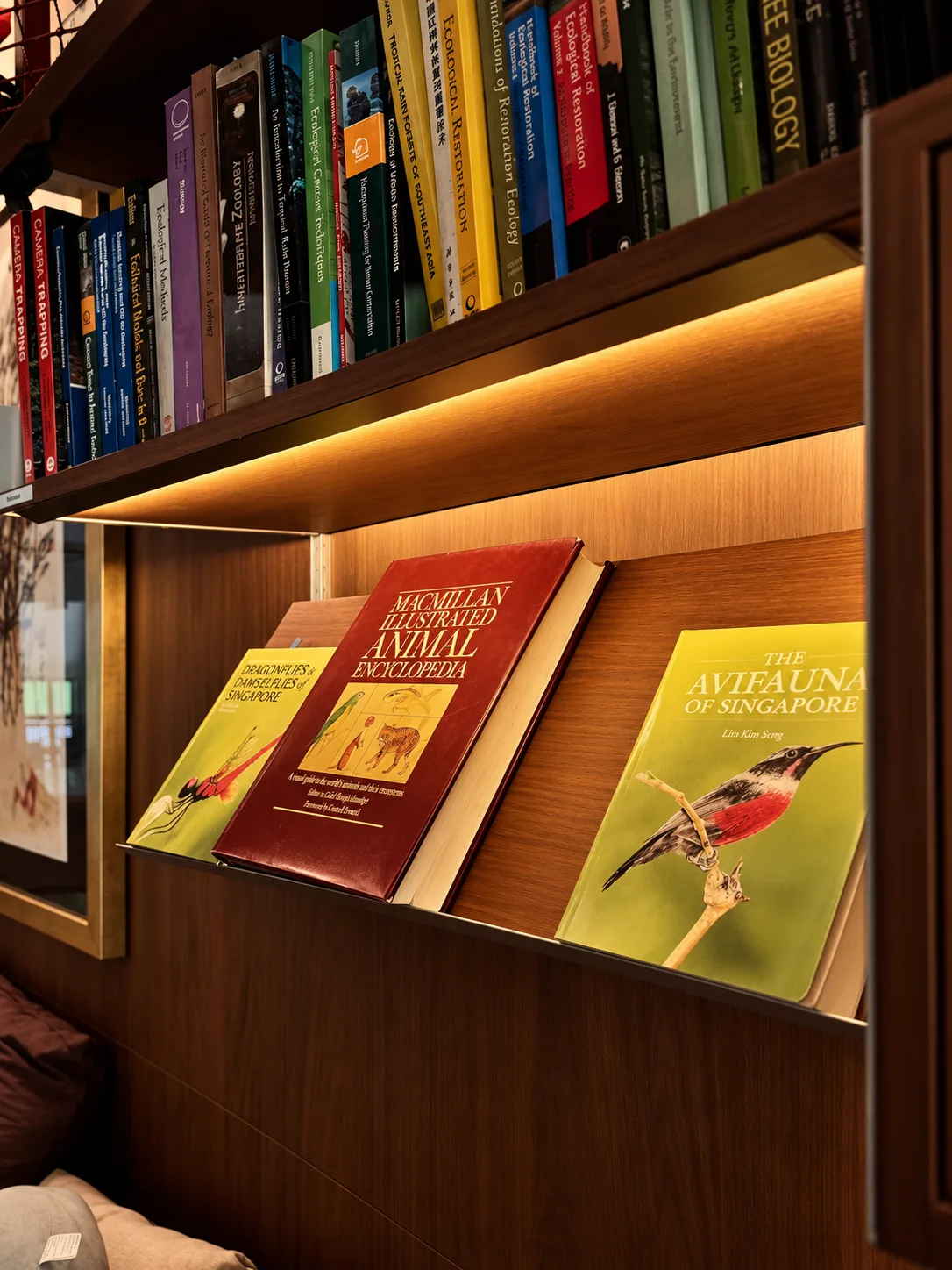 Library for the Arborist: lit shelves of nature books and field guides, with The Avifauna of Singapore on display