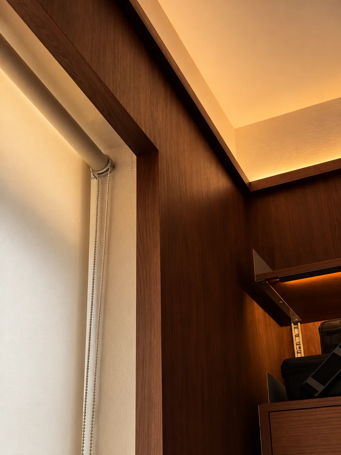 Library for the Arborist: a deep timber window reveal with a roller blind and a lit cove above