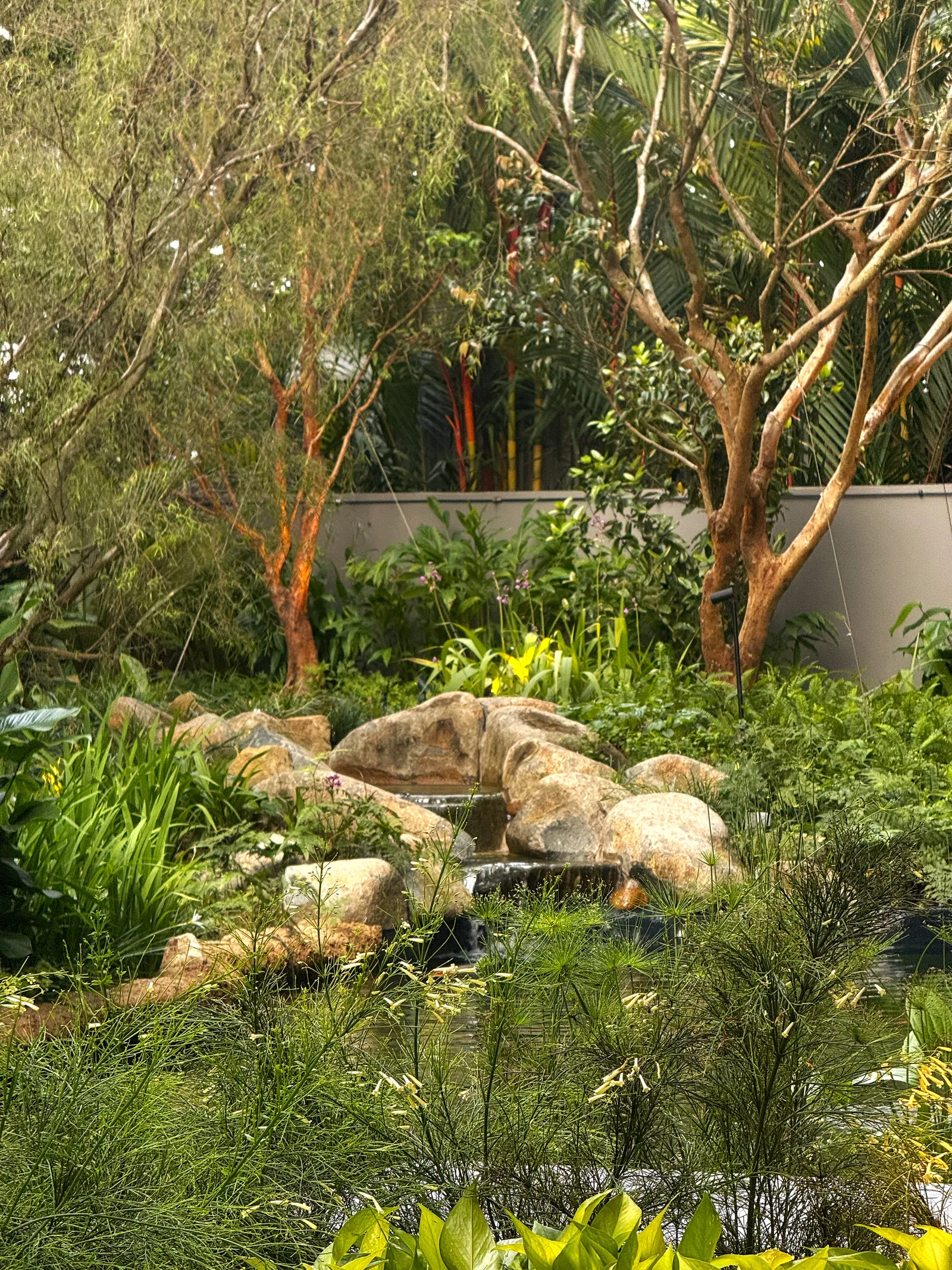 The Garden Within: boulders and grasses around the cascade, under trees with peeling orange bark