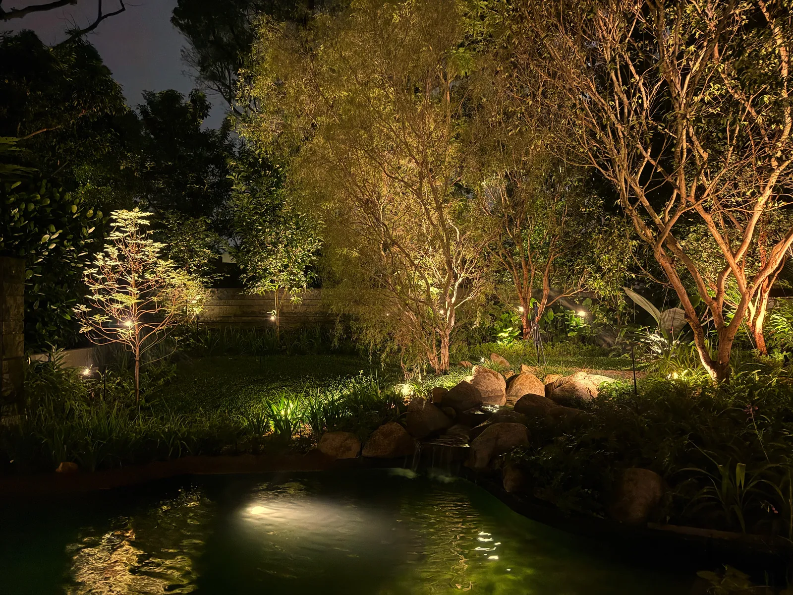 The Garden Within: the garden at night, its trees lit from below above the pond and boulders