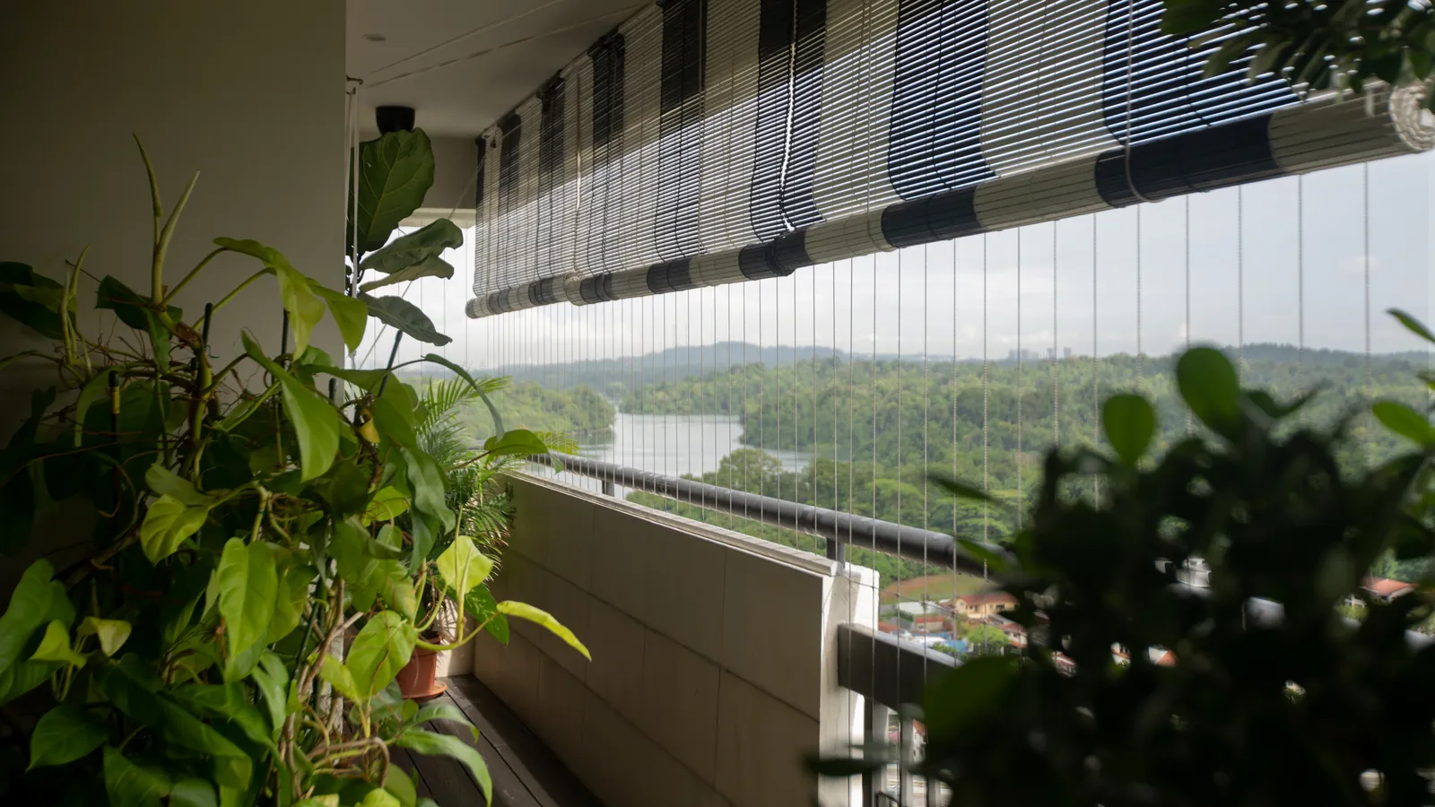 Villa in the Sky: planted balcony looking out over the reservoir and the forest