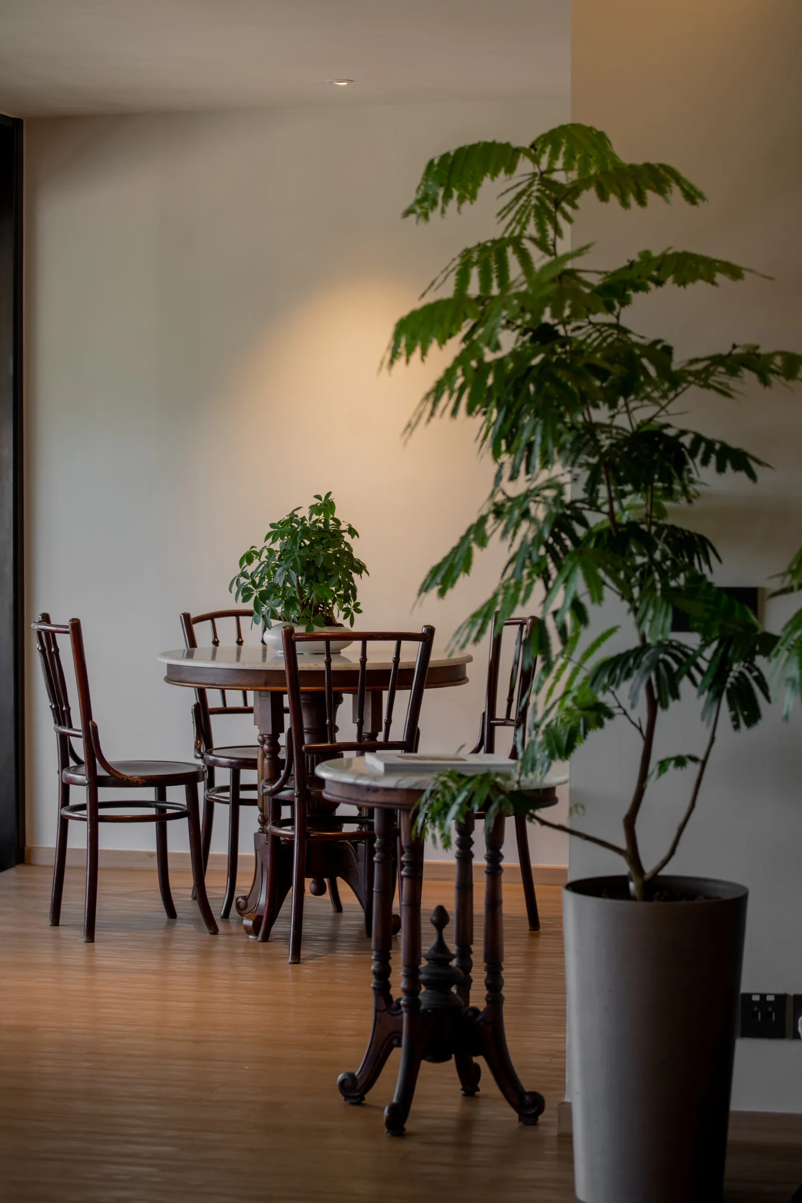 Villa in the Sky: bentwood chairs around a small marble table beside a tall plant