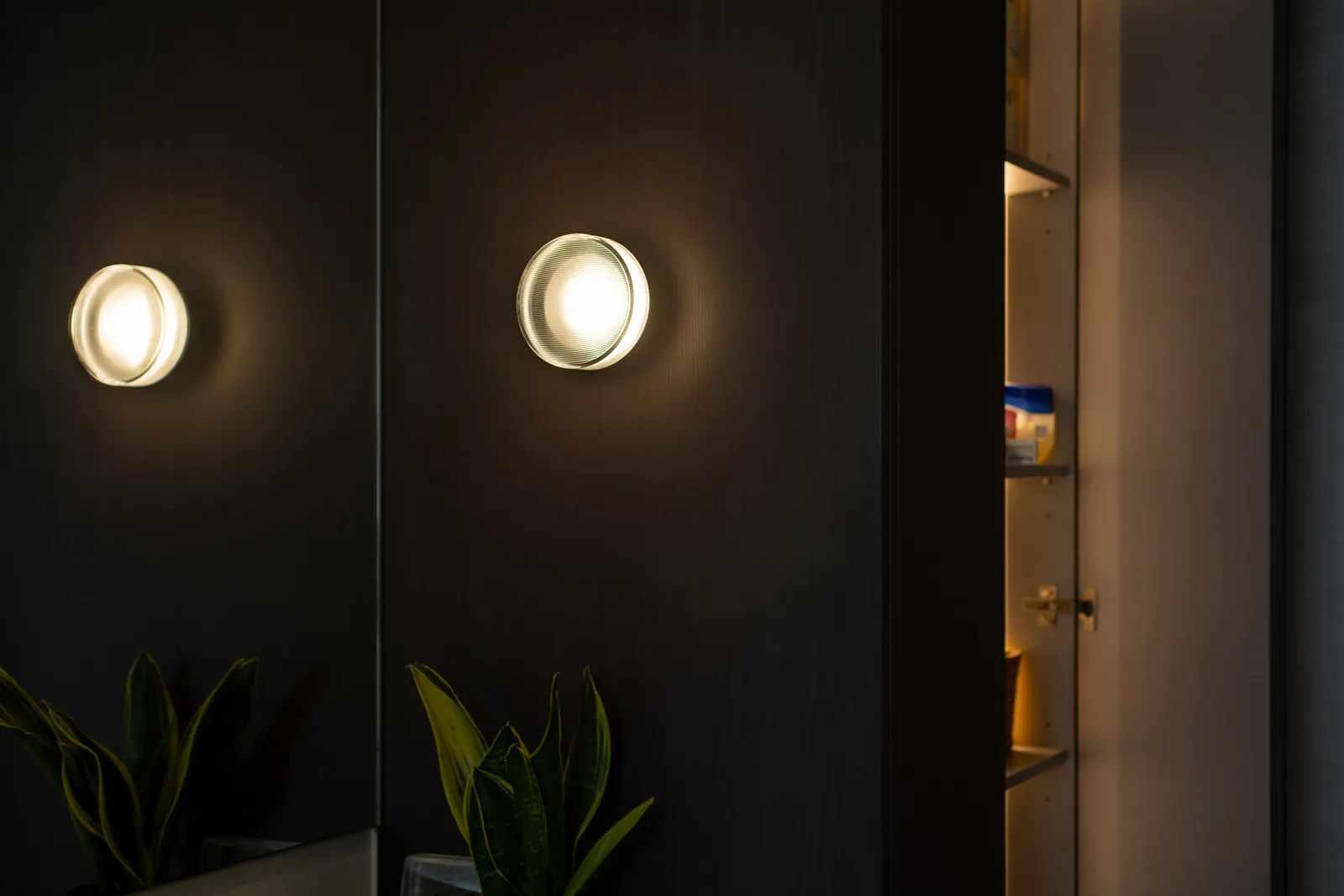 Villa in the Sky: round wall lights on a dark panelled wall, with snake plants below